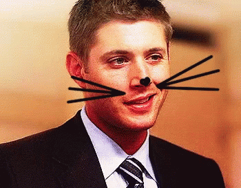 Man In Suit With Cat Whiskers GIF