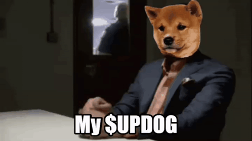 Man in Suit With Dog on Head My Supdog