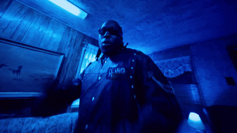 Man In Sunglasses And Jacket Saying King GIF