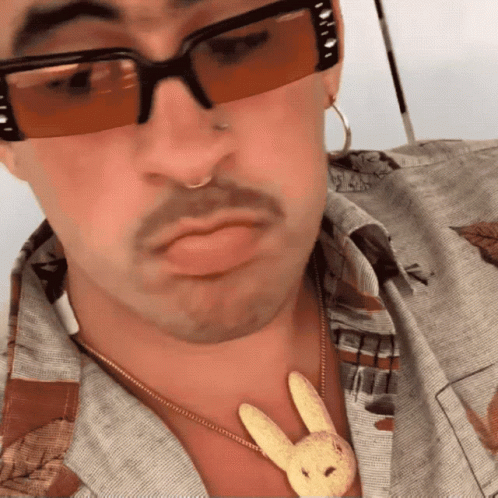 Man in Sunglasses and Stuffed Bunny Necklace