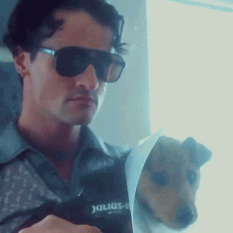 Man In Sunglasses Holding Dog With Julius GIF