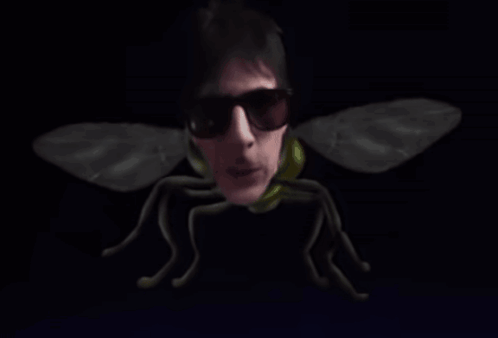 Man In Sunglasses With Big Fly Wings GIF
