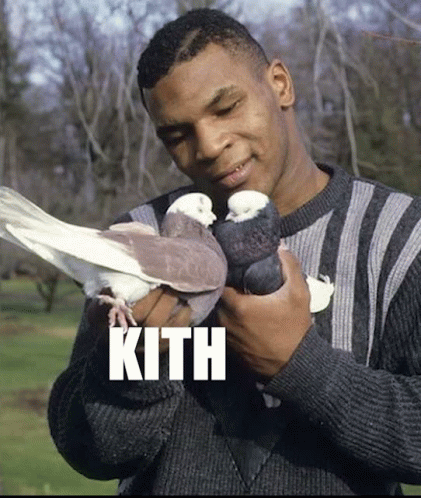 Man in Sweater Holding Two Pigeons With Kith