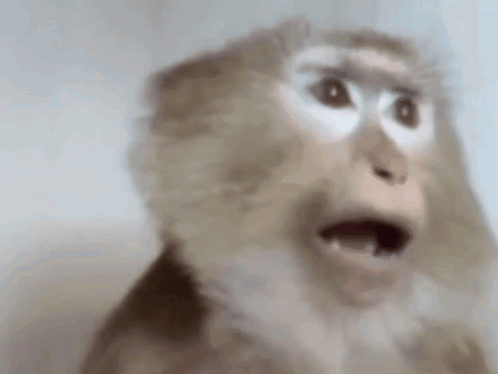 Man In Tank Top And Hat Saying Good Morning On Boat GIF