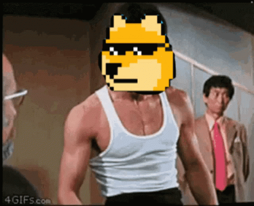 Man in Tank Top With Doge Face on Head