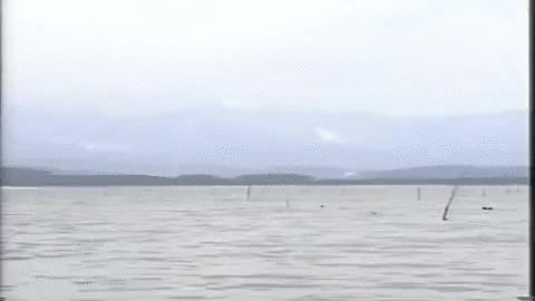 Man In The Sea Encouragement GIF