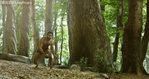 Man In The Woods #Rrrmemes GIF