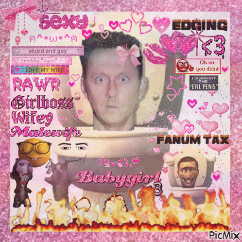 Man in Toilet With Rawr Girlboss Wifey Malewife Fanum Tax Babygirl