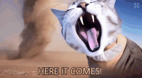 Man In Top Hat And Bow Tie Saying Here It Comes GIF