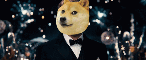 Man In Tuxedo With Doge Head GIF