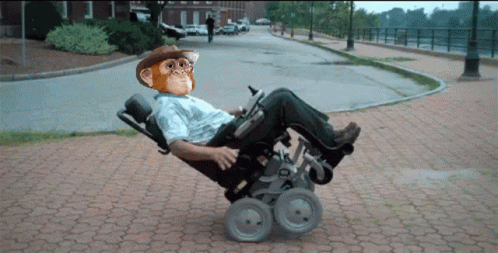 Man in Wheelchair With Chimpanzee on His Face