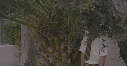 Man In White Shirt And Tie By Palm Tree GIF