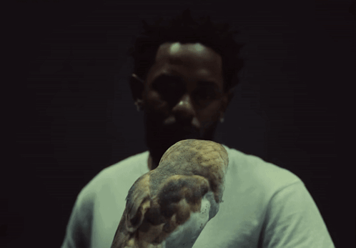 Man In White Shirt Holding Owl GIF