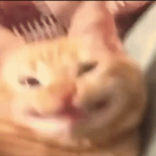 Man in White Shirt Making Funny Face