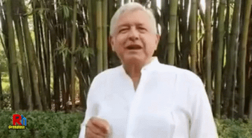 Man In White Shirt Standing In Bamboo Forest GIF