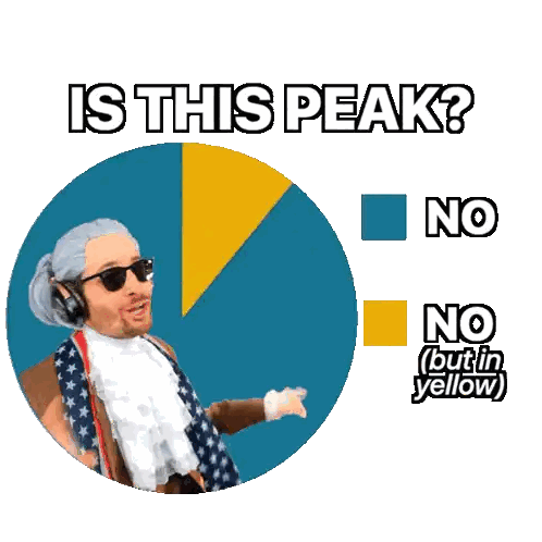 Man in Wig and Sunglasses Pointing at Pie Chart