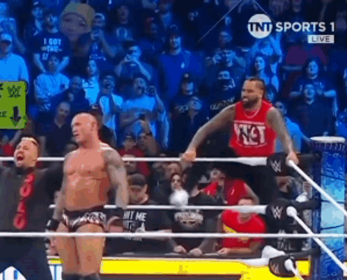 Man in Wrestling Ring With Crowd