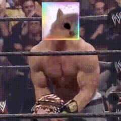 Man In Wrestling Ring With Dog On Head GIF