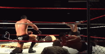 Man In Wrestling Ring With Everlast Sticker GIF