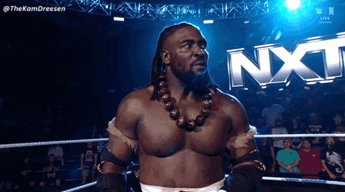 Man in Wrestling Ring with NXT