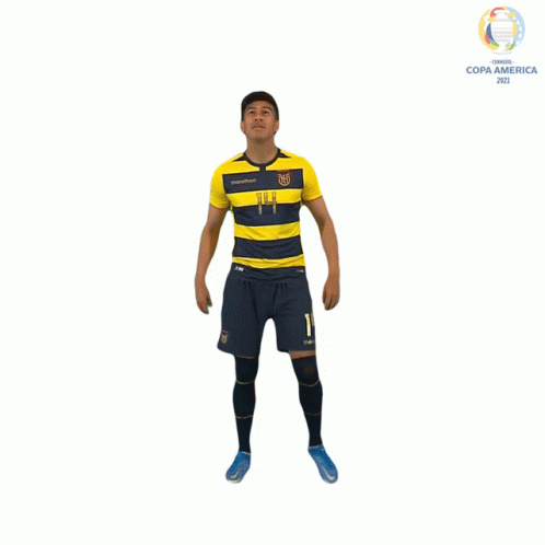 Man in Yellow and Blue Striped Shirt Copa America