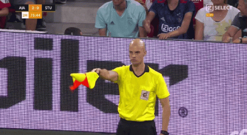 Man in Yellow Shirt Holding Red Flag Saying Zselect