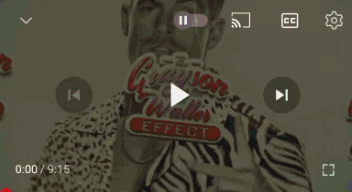 Man In Zebra Print Shirt With Grayson Waller Effect GIF