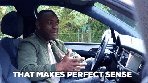 Man Inside Car True Dat That Makes Perfect Sense GIF