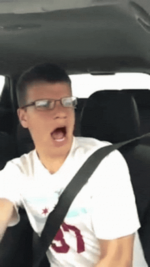 Man Inside The Car Crash GIF