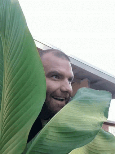 Man Is Happy Lurking GIF