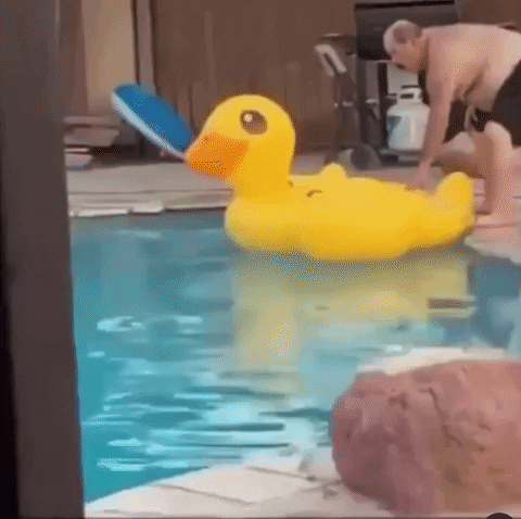 Man Jump On Yellow Duck Floaties GIF