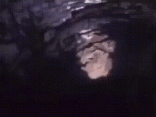 Man Jumping Off A Cliff Meme GIF