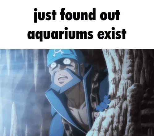 Man Just Found Out Aquariums Exist