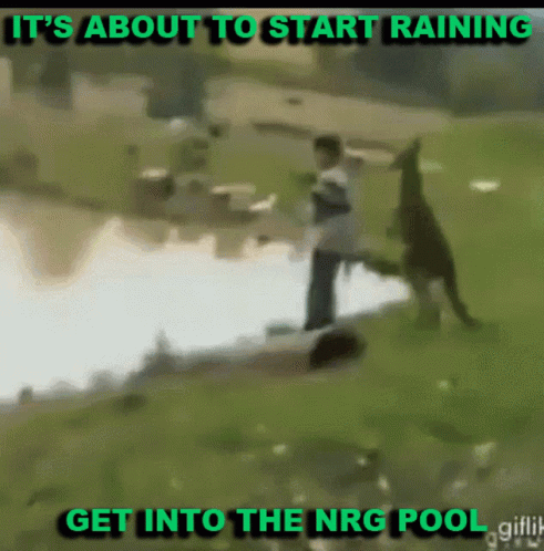 Man Kangaroo It's About To Rain NRG Pool GIF