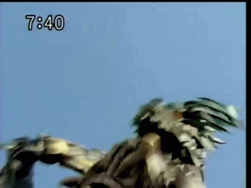 Man Kicking Another Man