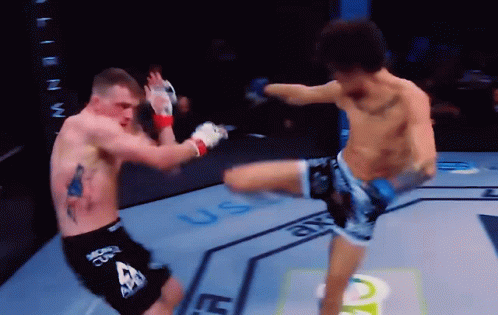 Man Kicking Another Man in UFC Boxing Ring