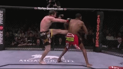 Man Kicking Opponent in Boxing Ring