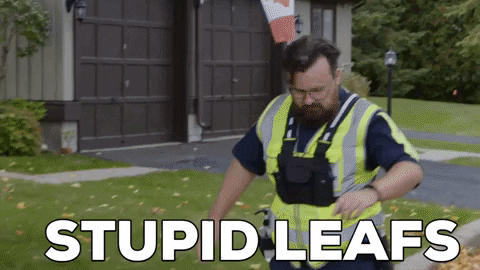 Man Kicks Stupid Fall Leaf GIF