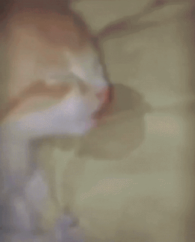 Man Kissing Man In Green City Shirt GIF