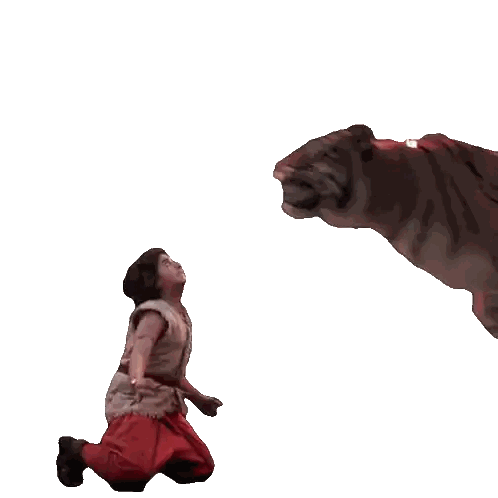 Man Kneeling Before Jumping Tiger