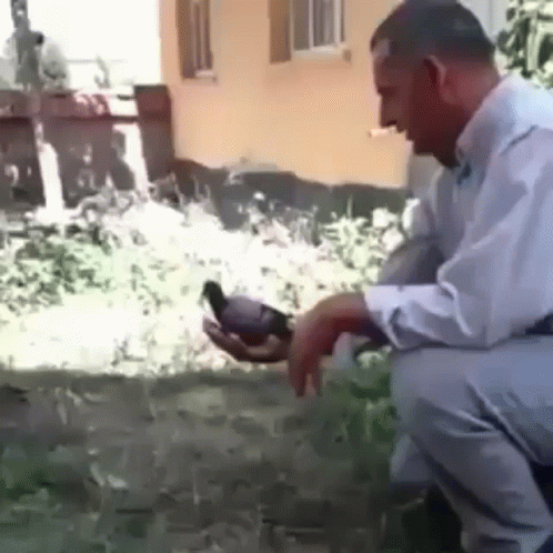 Man Kneeling Holding Pigeon