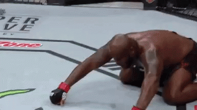Man Kneeling In Boxing Ring GIF