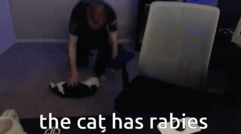 Man Kneeling Next to Cat Says The Cat Has Rabies