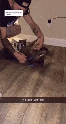 Man Kneeling Playing With Cat GIF