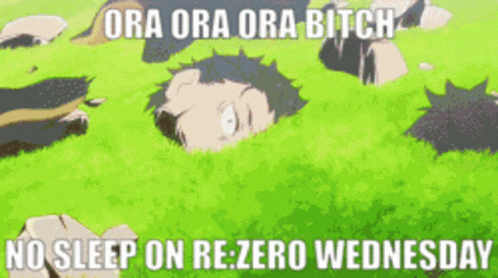 Man Laying in Grass No Sleep on Re:Zero Wednesday