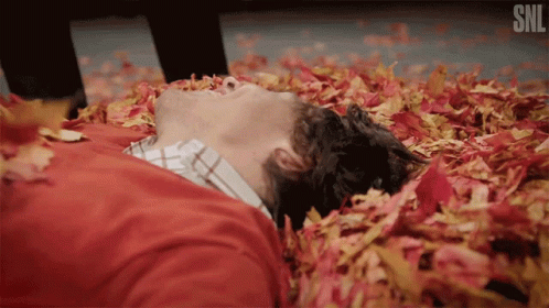 Man Laying in Leaves With SNL Logo