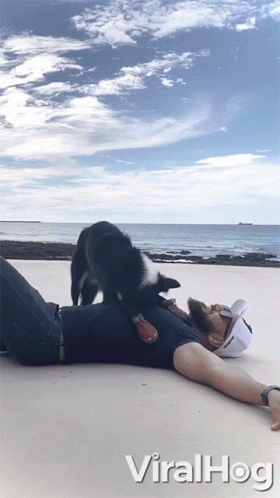 Man Laying On Beach With Dog On Back Viralhog GIF