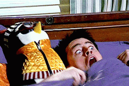 Man Laying on Bed with Stuffed Bird on Head