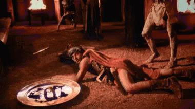 Man Laying On Ground Next To Fox Plate GIF