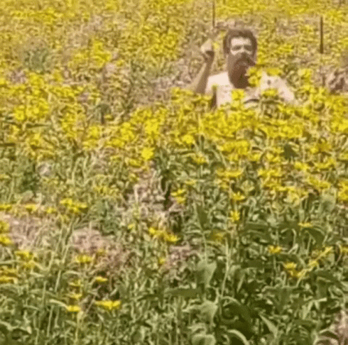 Man Laying On Stomach In Grassy Field GIF